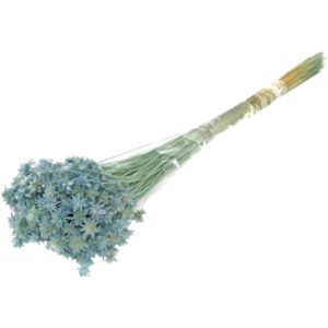 FLOR SECA-RAMO HILL FLOWER 72-GRIS 45 CM