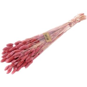 FLOR SECA-RAMO PHALARIS 46-ROSA 80 CM