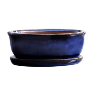 Maceta Bonsai San Oval 32 cm. Azul diámetro 32x22 x altura 1