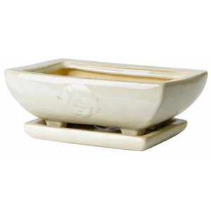 Maceta Bonsai Rectangular 23 cm. Blanco diámetro 23x15 x alt