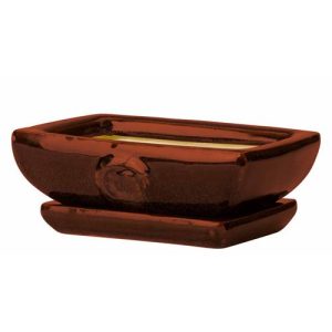 Maceta Bonsai Rectangular 32 cm. Burdeos diámetro 32x22 x al