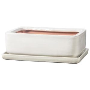 Maceta Bonsai San Rectangular 23 cm. Blanco diámetro 23x15 x