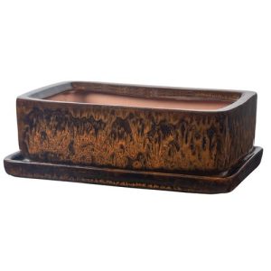 Maceta Bonsai San Rectangular 32 cm. Marrón diámetro 32x22 x