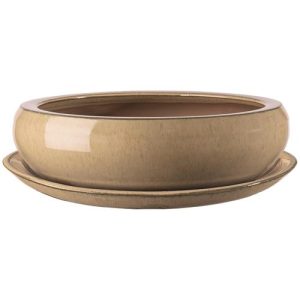 Maceta Bonsai Redondo 31 cm. Arena diámetro 31 x altura 10 c