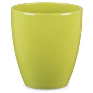 Mac. Orquídea 620 15 cm. Tropical Green diámetro 14 x altura