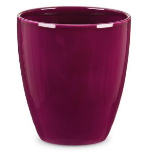 Mac. Orquídea 620 15 cm. Pure Violet diámetro 14 x altura 15